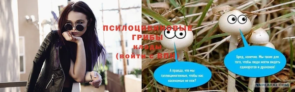 гидропоника Аркадак