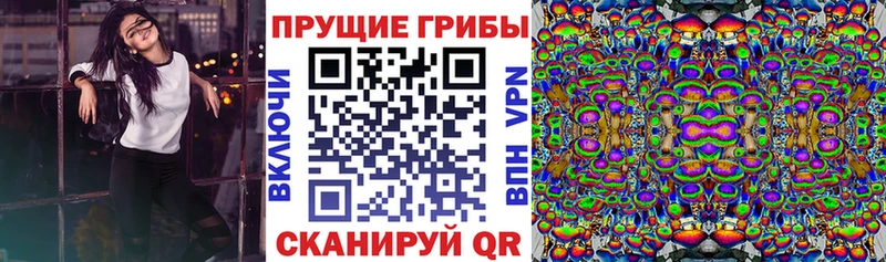 Галлюциногенные грибы прущие грибы  Белёв 